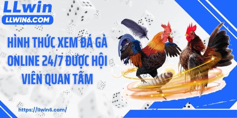 Hình thức xem đá gà online 24/7 được hội viên quan tâm